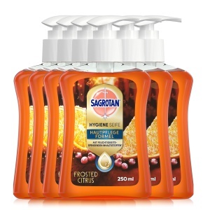 Sapun lichid Sagrotan editie limitata iarna 6 x 250 ml, cu aroma citrice