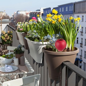 Set 4 Ghiuvete pentru Udat Plante, Relaxdays, 300ml, Design Colorat - Img 2