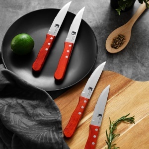 Set de cutite pentru gratar Bergner din otel inoxidabil, 4 piese, design ergonomic - Img 2