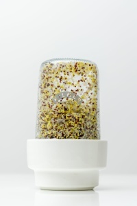 Set pentru germinare KILNER cu sticla de 500 ml, suport ceramic si design multi-nivel - Img 2
