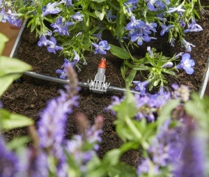 Sistem automat de irigare Gardena Balkon Bewasserung 1407-20 13 programe pentru pana la 6 m de jardiniere - Img 4