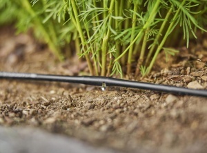 Sistem de irigare Gardena Micro-Drip 4.6 mm, 15 m, flexibil si economic - Img 3