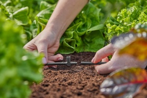 T-Scurgere Gardena Micro-Drip-System 4,6 mm, 5 bucati, fixare sprayers - Img 3