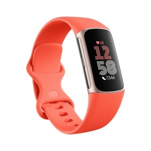 Tracker de activitate Google Fitbit Charge 6 cu GPS, 7 zile autonomie, 6 luni Premium