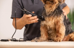 Wahl 1400 masini de tuns animale masini de tuns caini cu fir set de toaletare ingrijirea animalelor de companie acasa lame ascutite cu precizie foarte - Img 5