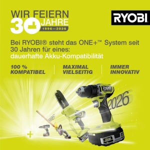 Aspirator cu aer cald RYOBI OBL1820S, 18 V, 245 kmh, 2,6 mmin - Img 12