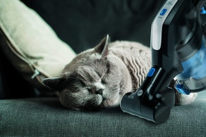 Aspirator fara fir Hoover H-Free 200 Pets HF222UPT, 22V, usor, negrualbastru - Img 4