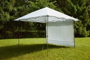 Baldachin Coleman Oasis 10x10 cu Panou de Protectie Impotriva Soarelui si Vantului - Img 2