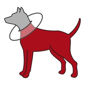 Colier de protectie TRIXIE 19425, 46-49 cm, gri, pentru animale - Img 5