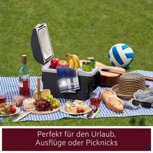 Cutie de racire AEG Bordbar BK 6, 6 litri, 12V, termoelektrica - Img 9