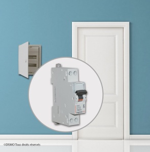 Disjunctor Legrand DNX 4500 leg92822 Unipolar 230 V 10 A - Img 3