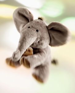 Elefant de plus Schaffer 4230, 13 cm, Fairtrade, moale si simpatic - Img 5