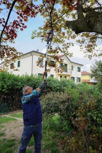Extensie pentru unelte de gradinarit WORX WA4301, 125 cm, usoara si compacta - Img 5