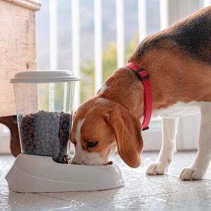 Ferplast Dozator de crochete pentru caini si pisici Zenith Biscuiti cu cusca alimentara de 3 litri pentru animale de companie fund antiderapant 202 x  - Img 3