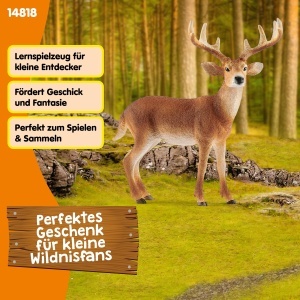 Figurina WILD Life Schleich - Weiwedelhirsch, 11 x 5 x 10 cm, Detalii Realiste - Img 5