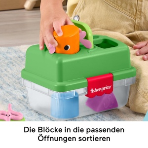 Fisher-Price Set de Joaca Camping-Freunde JLB85 Activitati pentru Bebelusi 6 Luni Sortare si Coordonare - Img 3