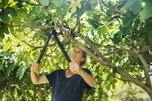 Foarfeca pentru crengi Fiskars PowerGear II L74 55 cm NegruPortocaliu Antiaderenta - Img 3