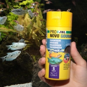 Granule pentru Pesti JBL PRONOVO GOURAMI GRANO, 250 ml, Fara Aditivi - Img 4