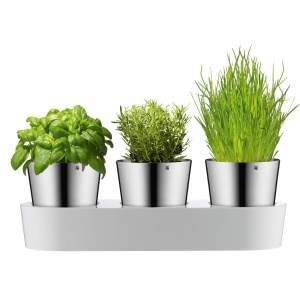 Jardiniera cu sistem de irigare WMF Gourmet, 3 piese, 36x12,5x12,5 cm, alba