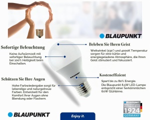 Lampa LED Blaupunkt E27 A60 Matt 9W, 900 Lumen, 4000K - Img 2
