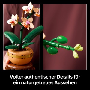 LEGO Botanicals Mini orhidee - Set de flori artificiale - Decoratiuni pentru sufragerie sau birou - Cadou pentru femei si barbati - Plante artificiale - Img 4