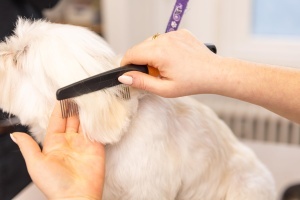 Pieptene pentru animale Wahl cu maner ergonomic, inoxidabil, ideal pentru blana medie - Img 8