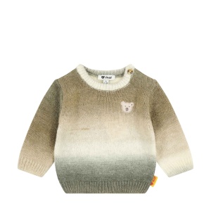 Pulover pentru copii Steiff, model Sesame, 80 EU, cu design Teddy