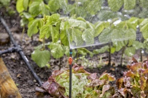 Racord extensibil Gardena Micro-Drip-System 20 cm pentru irigare eficienta - Img 5