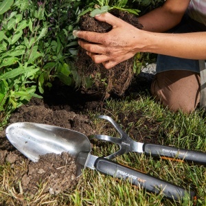 Rake pentru flori Fiskars Xact, 3 zinken, lungime 32,3 cm, culoare negruportocalie - Img 4