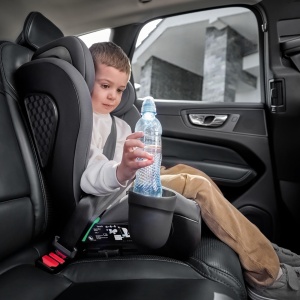 Scaun auto Lionelo Neal I-Size, grupa 2-3, 100-150 cm, cu ISOFIX - Img 8