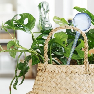 Set 4 Globuri Udat Planta Relaxdays, Culoare Albastra, 8 cm, pentru Flori - Img 3