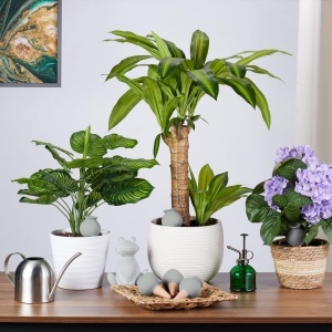 Set 6 Ghioceluri pentru Udat Plante - Relaxdays, Ceramica, TerracottaGri - Img 5