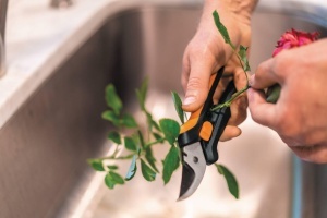 Set unelte gradinarit Fiskars Urban Plant Care 7 piese cu foarfeca SP14 si stropitoare 12L - Img 4