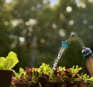 Spray pentru udare Gardena Softspruher 0,45 l, 2in1, design transparent - Img 6