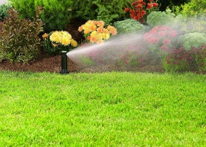 Sprinkler Rotor Orbit Voyager 4 Inch, 2 bucati, ajustabil, pentru irigare eficienta - Img 2