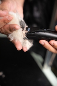Trimmer pentru par Wahl Fidela, lama 0.4mm, pentru zone sensibile - Img 7