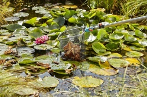 Unelte de gradina Gardena Teichreiniger Vario 2, 2-in-1, cu retea fina si groasa - Img 5
