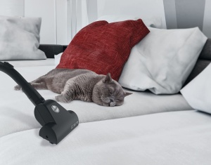 Aspirator Hoover BRAVE BV61PET, 700W, 2.3L, cu duza pentru par de animale - Img 2