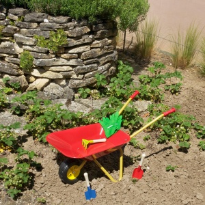 Carucior de gradina Theo Klein 7669, metal, 10 kg, cu unelte incluse - Img 5