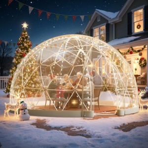 Cupa de gradina VEVOR GB-DOME-9.5, 2-4 persoane, transparent, 2,9x1,7 m