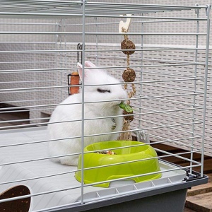 Cusca pentru rozatoare FERPLAST Rabbit 100 pentru iepuri cobai porcusori de Guineea din metal inclusiv accesorii iesle sticla de baut casa bol 95x57xh - Img 5