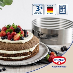 Cutie pentru taiat torturi Dr. Oetker, inox, 26-28 cm, cu cutit inclus - Img 2