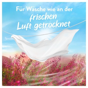 Detergent textil Lenor Luftfrisch Wildblumenfeld, 76 spalari, concentrat - Img 2