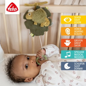 Fehn Spieluhr Chameleon 042030 Jucarie muzicala pentru bebelusi cu melodie linistitoare - Img 2
