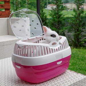 Ferplast Cutie de transport pentru hamsteri si alte rozatoare mici Aladino Cusca mare de calatorie pentru hamsteri grila de ventilatie maner confortab - Img 3