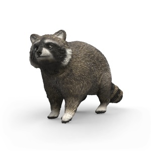Figurina animale Schleich WILD Life Waschbar 14937, 7 x 2 x 4 cm, pentru copii de la 3 ani