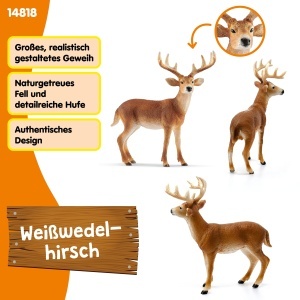 Figurina WILD Life Schleich - Weiwedelhirsch, 11 x 5 x 10 cm, Detalii Realiste - Img 2