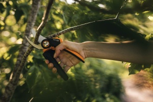 Foarfeca de gradina Fiskars X-series PowerGear P961, 22.2 cm, inox, negruportocaliu - Img 9