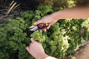Foarfeca pentru ierburi Fiskars SP-220, 12,9 cm, otel inoxidabil, manere confortabile - Img 7