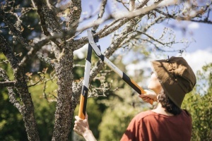 Foarfeca pentru taiat crengi Fiskars PowerGear X LX94-M, 64 cm, negruorange, pentru lemn proaspat - Img 5